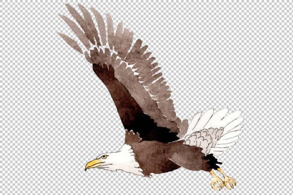 American Bald Eagle Watercolor: A Versatile Illustration for Creative Projects