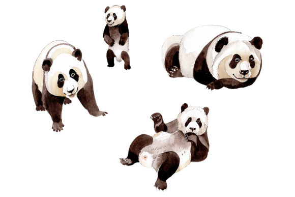 Animal Panda Watercolor: A Versatile Illustration for Digital Sellers