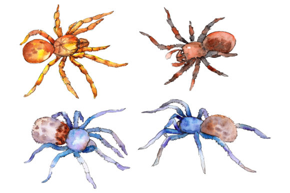 Animal World Tarantula Watercolor: A Unique Illustration for Creative Projects