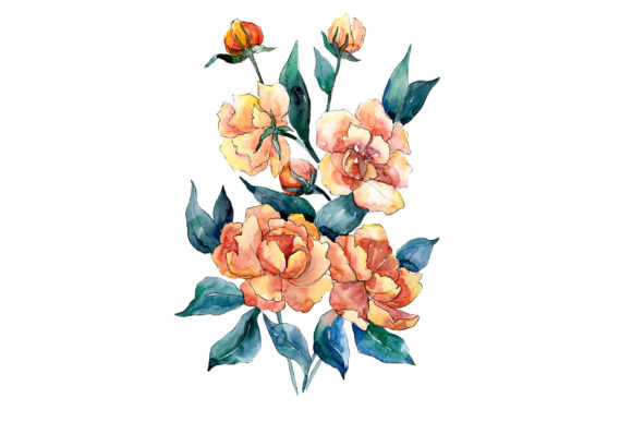 Bouquet of Flowers Diameter Orange Watercolor PNG Review