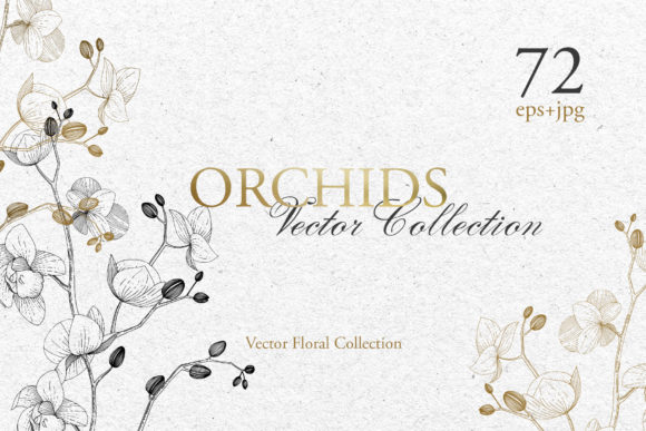 Branch of Orchids Vector Watercolor: A Designer’s Honest Take