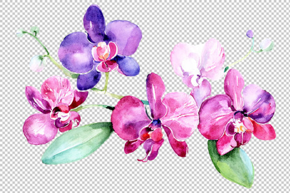 Branch of Purple Orchids Watercolor Set for Illustrations
