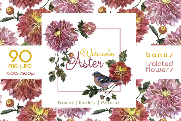 Charming Asters Watercolor Set: A Versatile Illustration for Handmade Creations