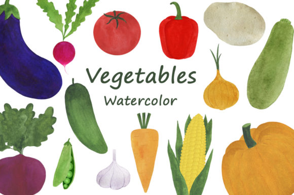Collection Vegetables Watercolor: A Fresh Illustration Asset for Content Creators