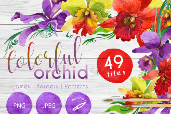Colorful Orchid Watercolor Set for Vibrant Editorial and Web Design