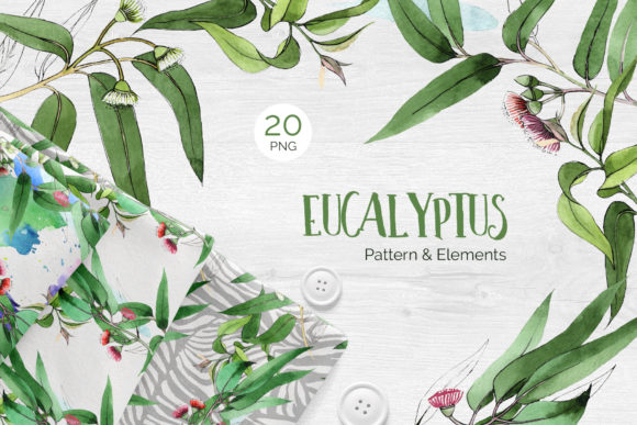 Eucalyptus Branch Watercolor Png: A Fresh Illustration for Modern Branding