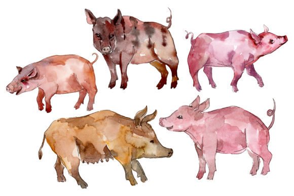 Farm Animals Pig Boar Watercolor Illustrations: A Versatile Design Asset for Branding