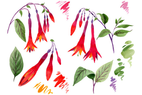 Orange-Red Fuchsia Watercolor for Illustrations: A Designer’s Perspective
