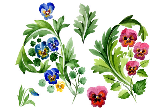 Ornament with Violas Watercolor Illustrations: A Designer’s Perspective