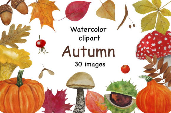 Set Autumn Watercolor Illustration Review for Real Client Projects