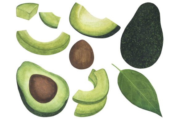 Set Avocado Watercolor Food Illustration for Brand Design
