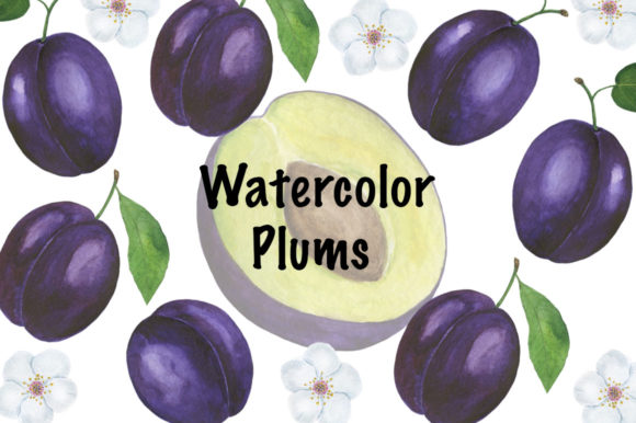 Set Plum Watercolor Illustration Review: A Creative Design Asset for Modern Branding