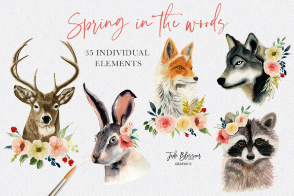 Spring in the Woods – Watercolor Animals for Fresh Illustrations