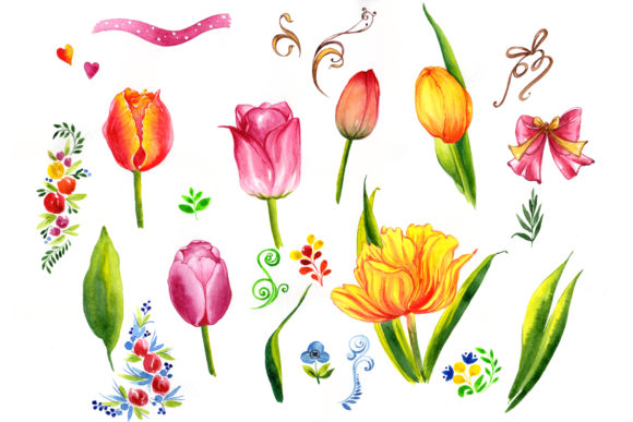 Summer Colorful Tulips Watercolor Set for Illustrations