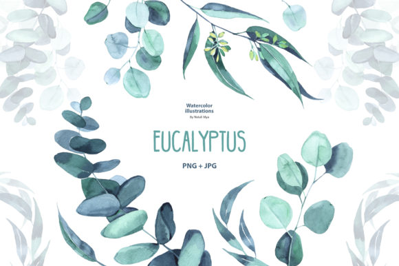 Watercolor Eucalyptus: A Versatile Illustration for Local Business Branding