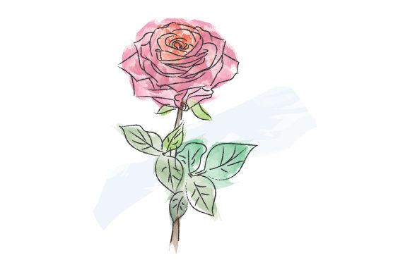 Watercolor Rose Design Illustration: A Versatile Graphic for Creative Projects