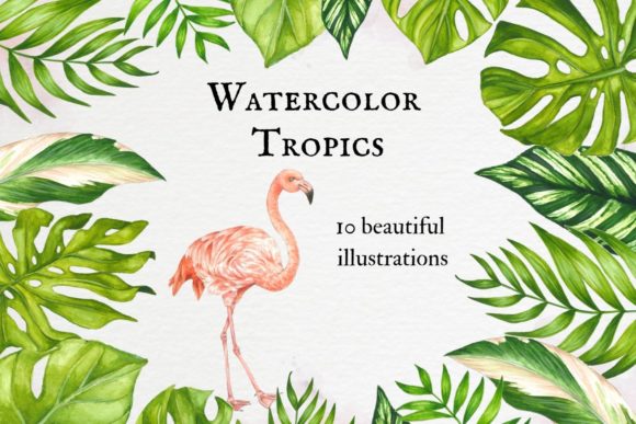 Watercolor Tropical Leaves Pink Flamingo Illustrations for Branding