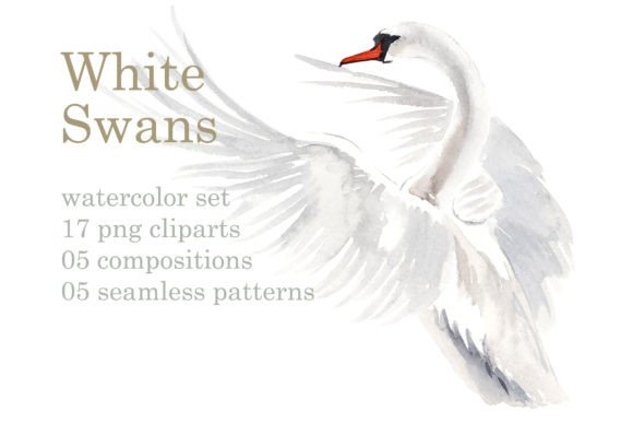 Watercolor White Swans with Pink Lilies: A Delicate Design Asset for Branding