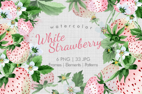 White Strawberry PNG Watercolor Fruit Set Review for Embroidery Projects
