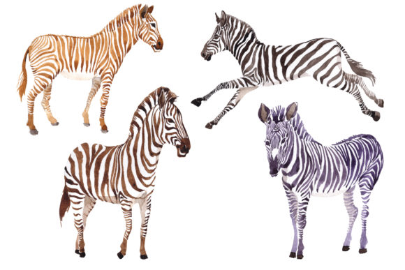 Zebra Set Watercolor: A Unique Graphic Design Asset for Creative Marketers